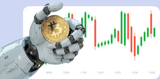 Drago Patrimivo dashboard della piattaforma di scambio di criptovalute